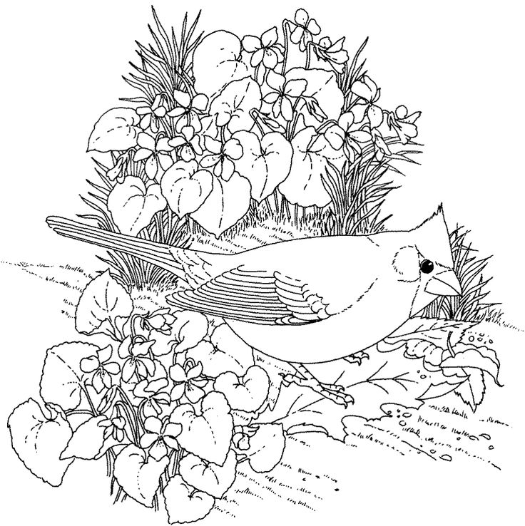 1000 Coloring Pages At Getcolorings.com | Free Printable Colorings