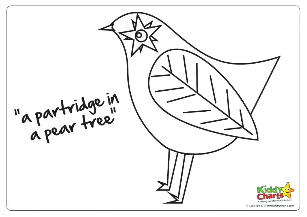 12 Days Of Christmas Coloring Pages Free at GetColorings com Free 12 Days Of Christmas Coloring Pages Free at GetColorings com Free