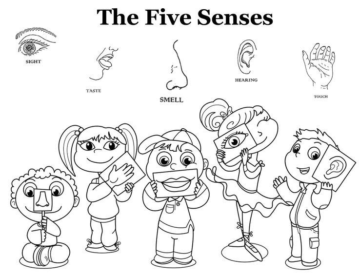5 Senses Coloring Pages at GetColorings.com | Free printable colorings