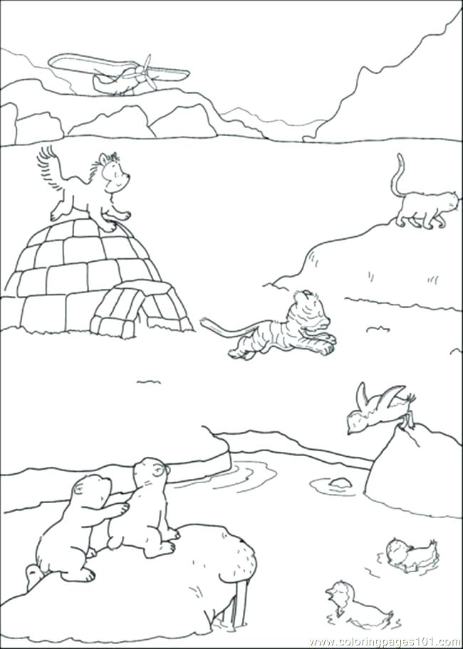 7 Continents Coloring Page at GetColorings.com | Free printable