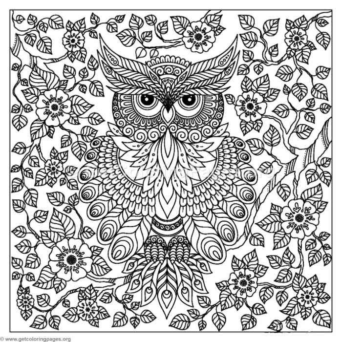 Abstract Owl Coloring Pages at GetColorings.com | Free printable