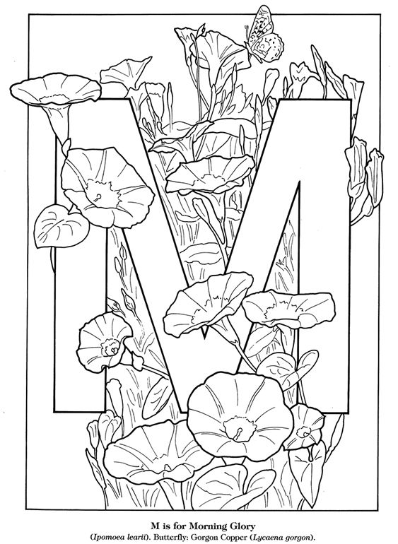 Adult Alphabet Coloring Pages At Free Printable Colorings Pages To Print And