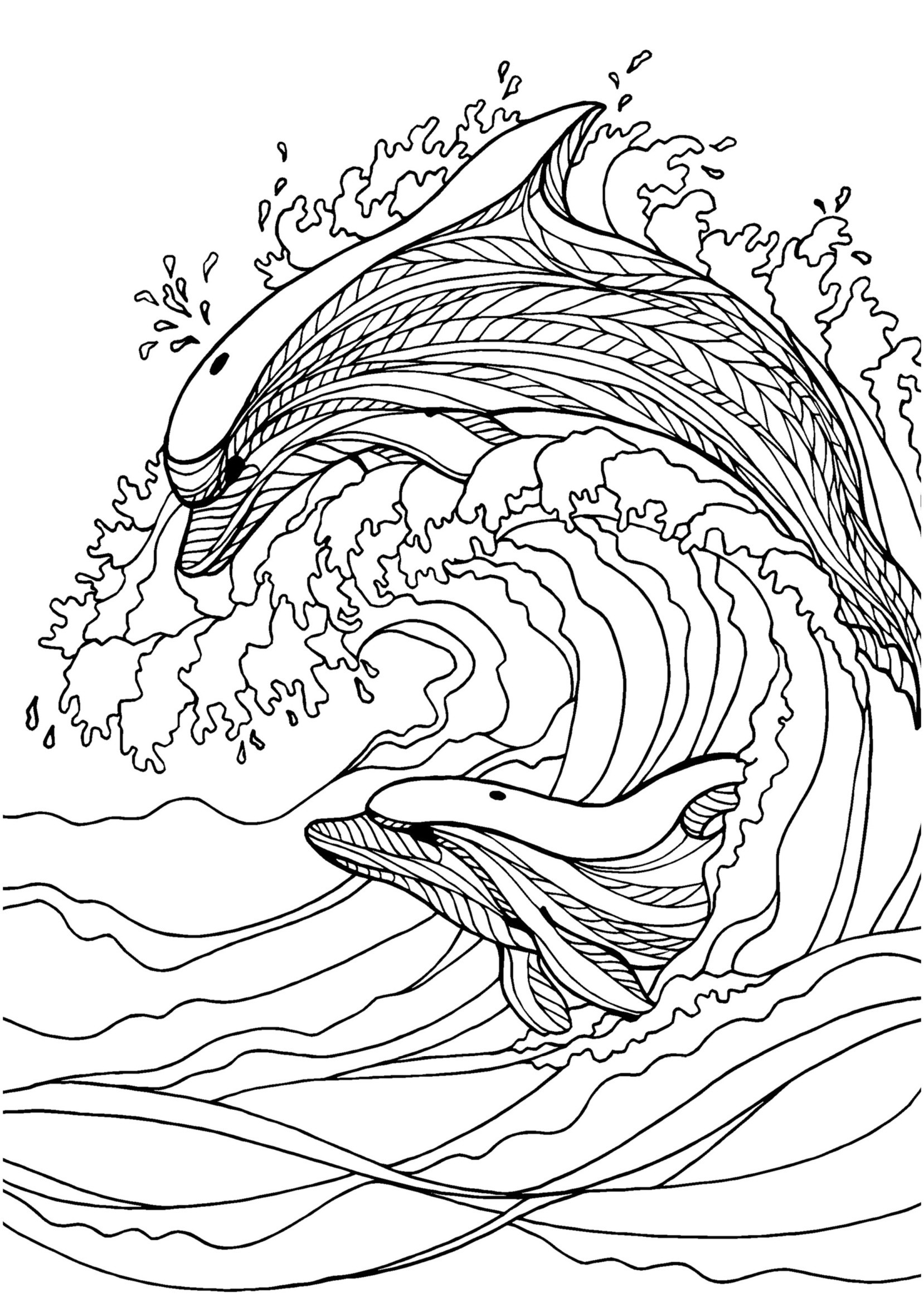 Adult Coloring Pages Dolphin at GetColorings.com | Free ...