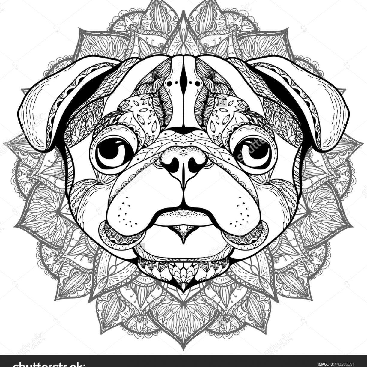 Adult Coloring Pages Pug at GetColorings.com | Free printable colorings