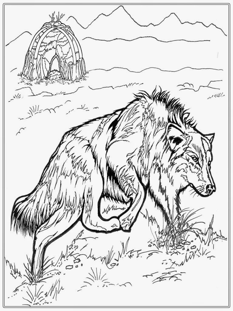 768x1024 Free Adult Coloring Pages Wolf Pics Pinterest