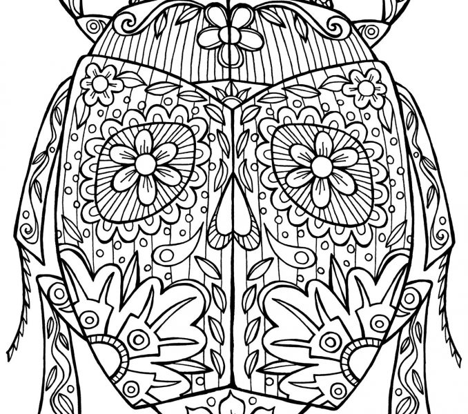 advanced coloring for adults animal images theme