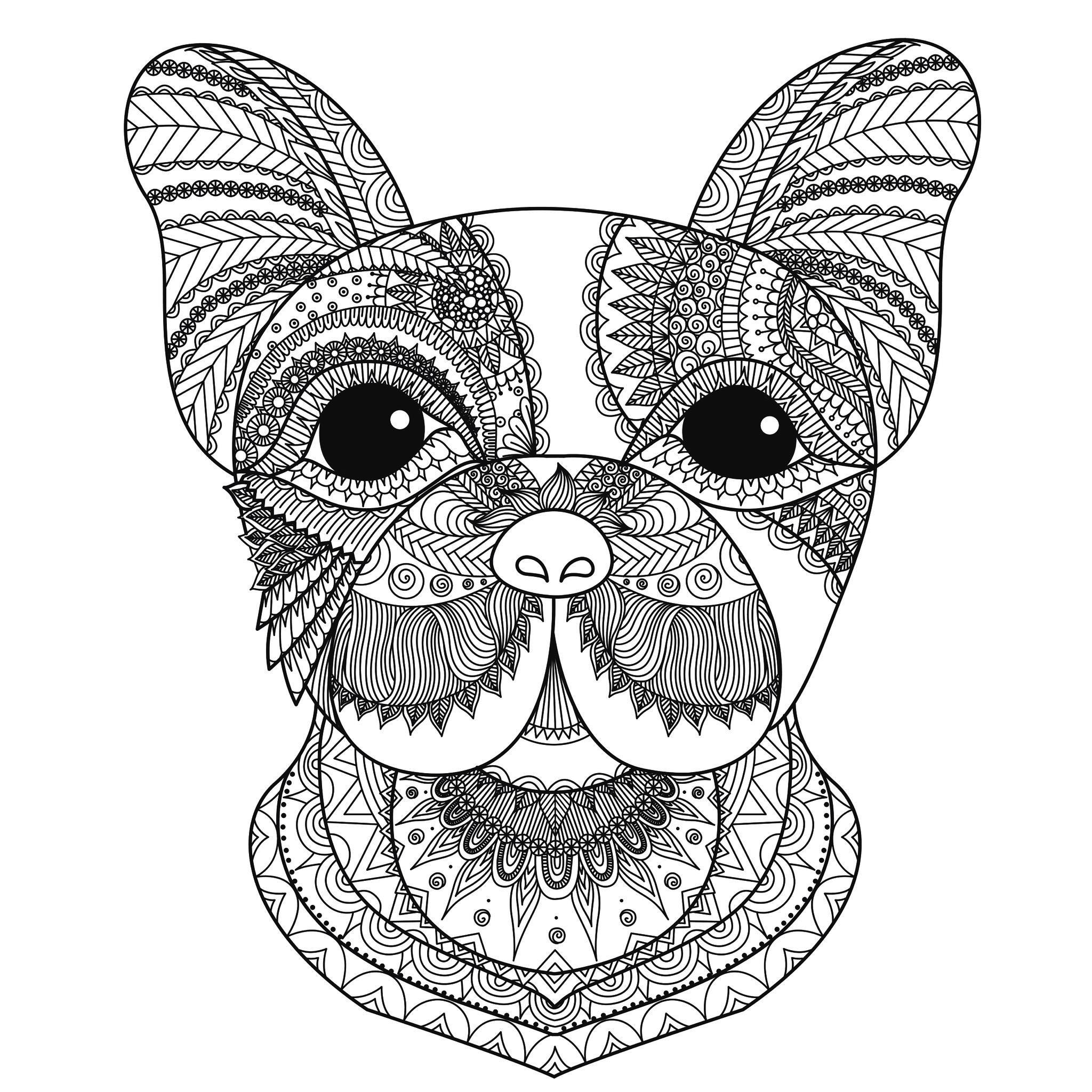 printable-baby-animal-coloring-pages-baby-animal-coloring-pages-to-print-out-and-the
