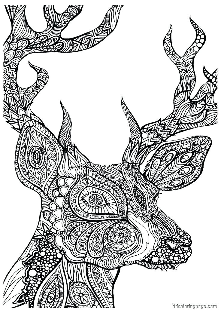 Advanced Fantasy Coloring Pages at GetColorings.com | Free printable