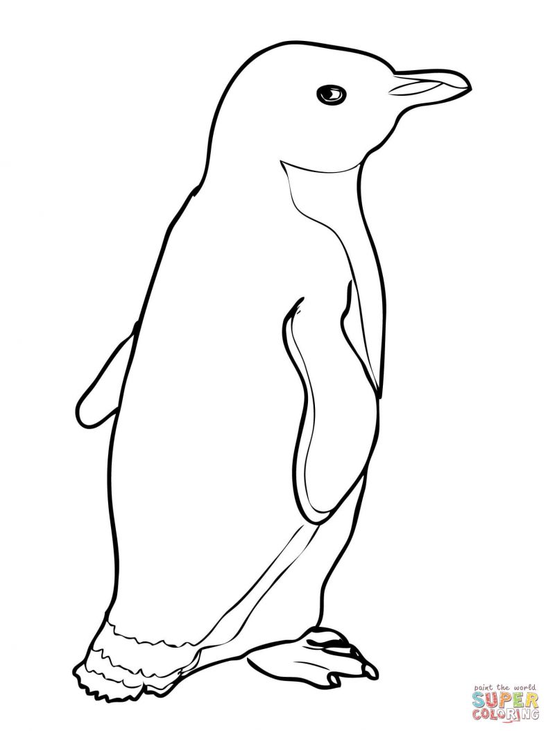 African Penguin Coloring Pages at GetColorings.com | Free ...