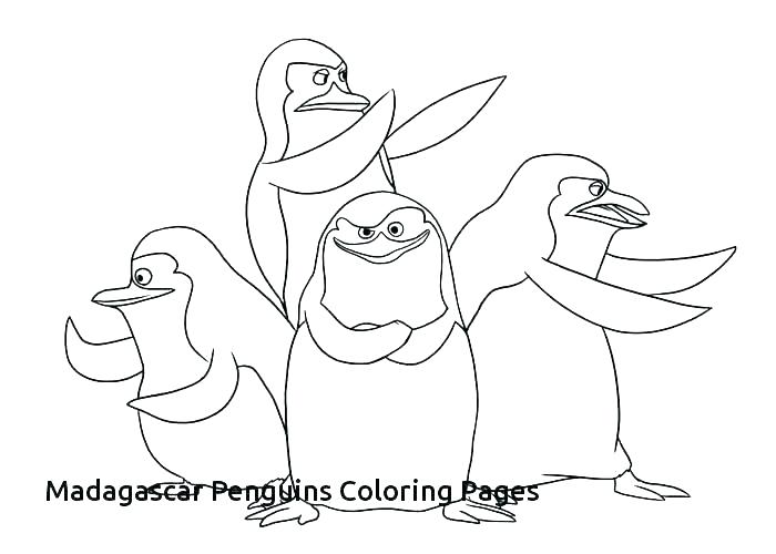 African Penguin Coloring Pages at Free printable