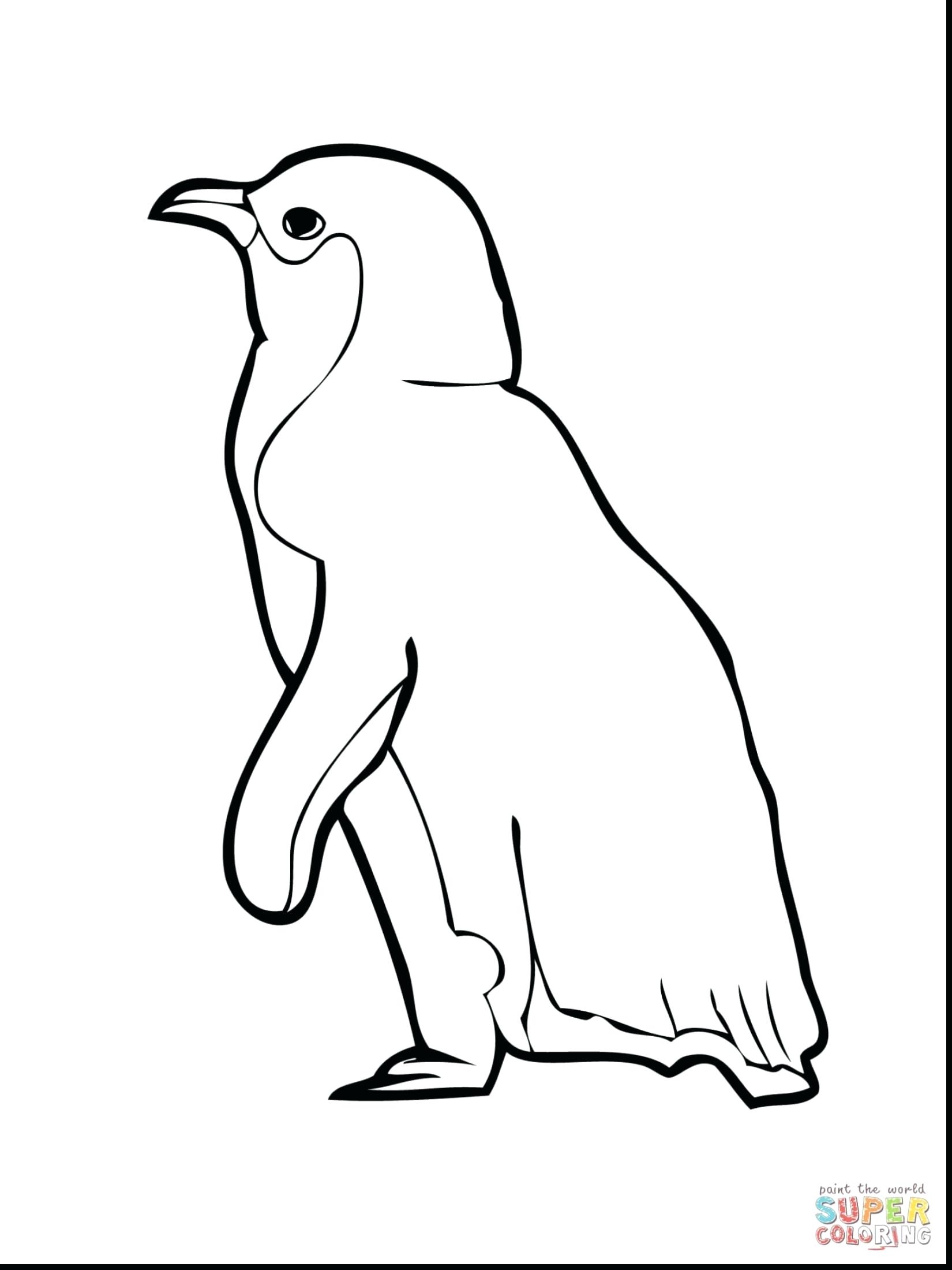 African Penguin Coloring Pages at Free printable