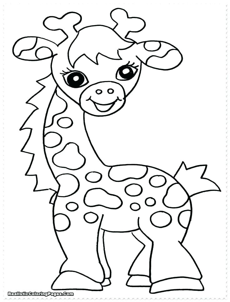 Free Printable Coloring Pages Safari Animals