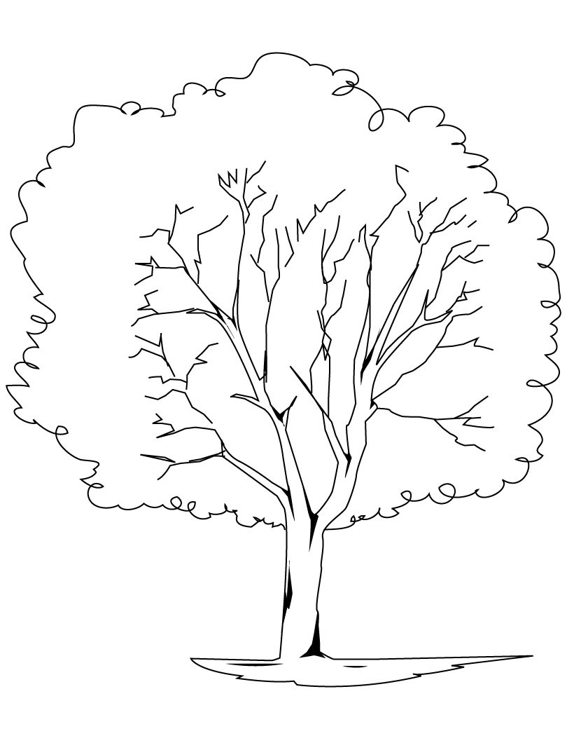 African Trees Coloring Pages at GetColorings.com | Free printable