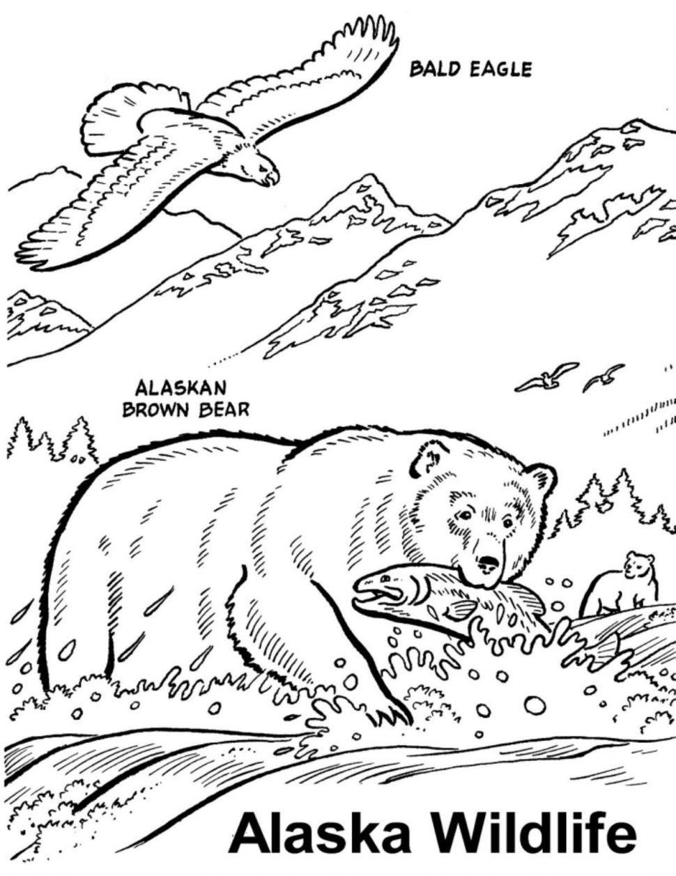 Alaska Coloring Pages at GetColorings.com | Free printable colorings
