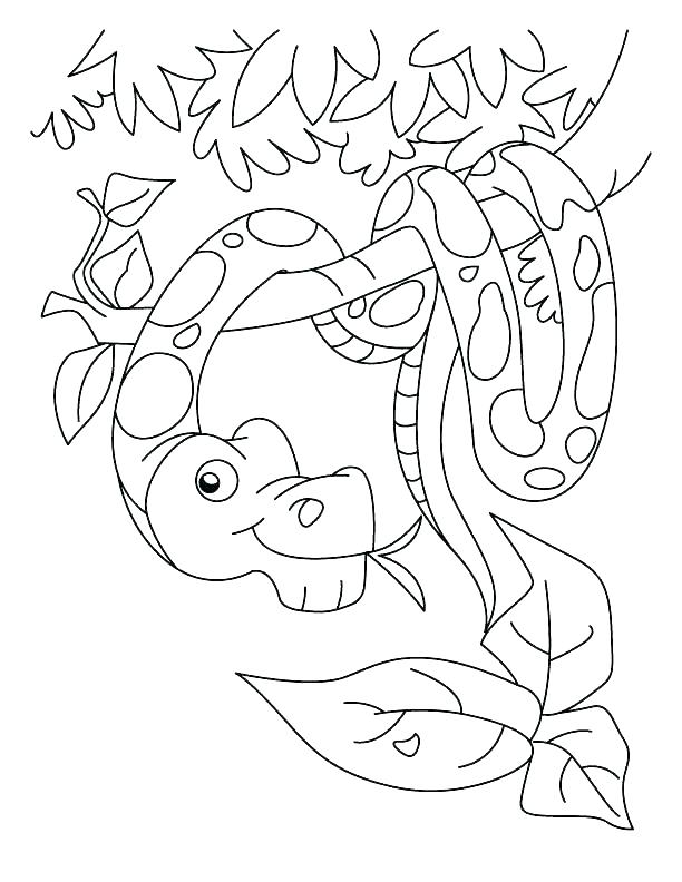 Anaconda Coloring Page at GetColorings.com | Free printable colorings