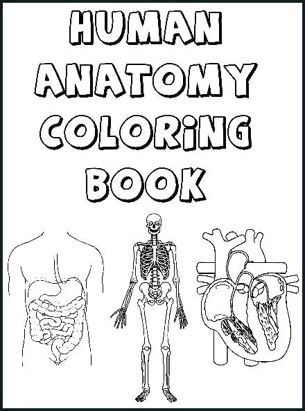 440x594 Anatomy Coloring Pages Ear