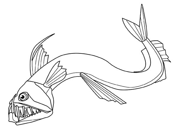 Angler Fish Coloring Page at GetColorings.com | Free printable