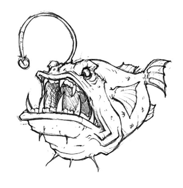 Angler Fish Coloring Page at GetColorings.com | Free printable
