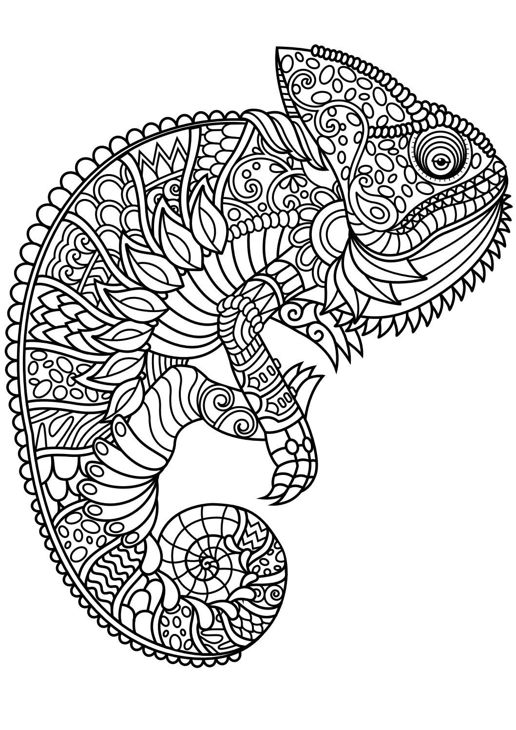Animal Abstract Coloring Pages at Free printable