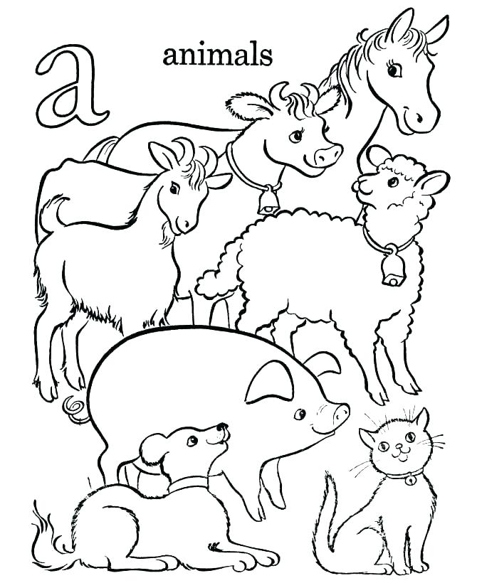 Animal Alphabet Coloring Pages at Free printable