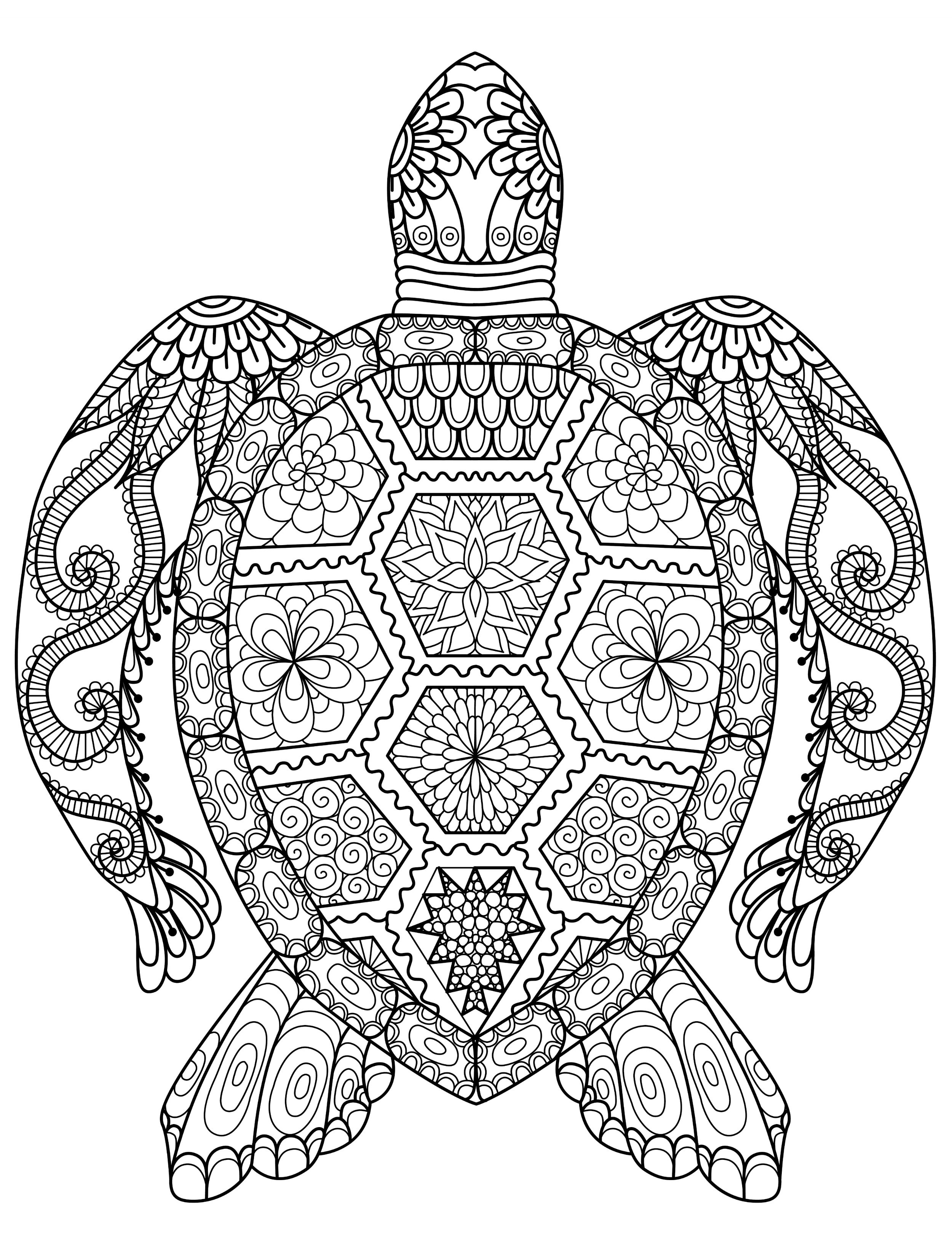Animal Coloring Pages For Adults at GetColorings.com   Free ...