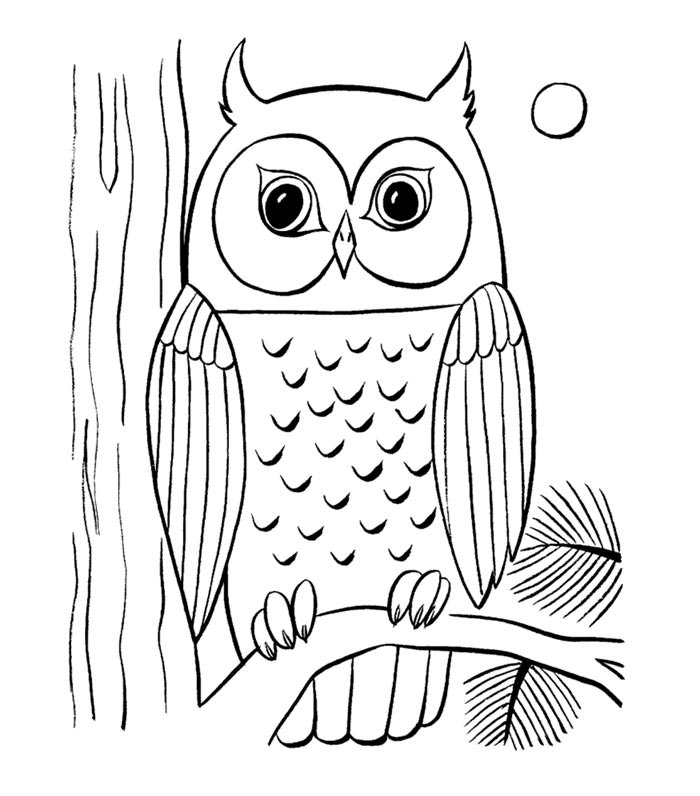 Animal Coloring Pages For Older Children at GetColorings.com | Free