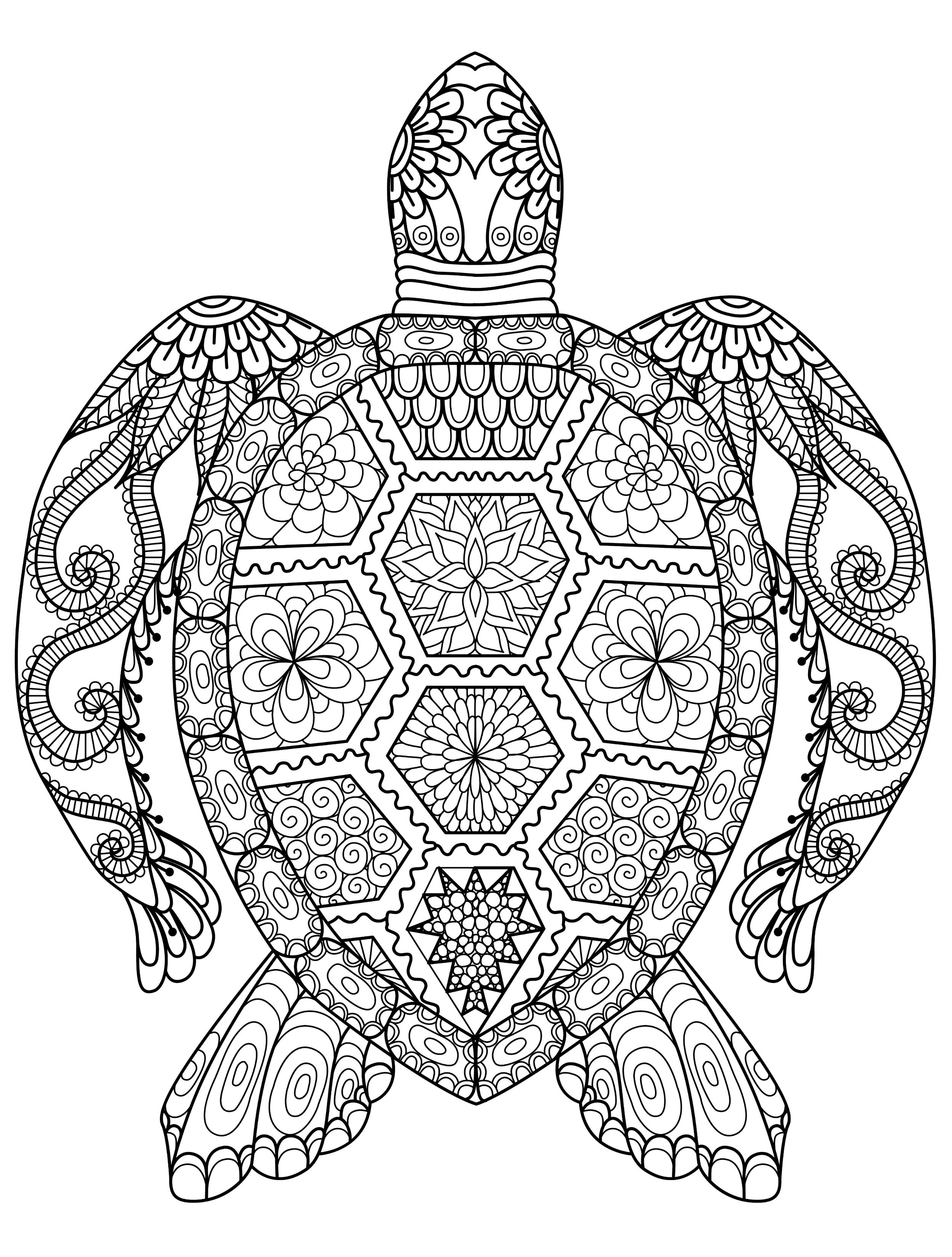 Animal Coloring Pages For Older Children at Free