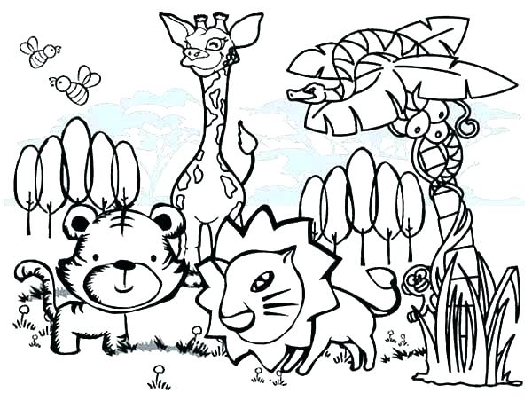 600x452 Australian Animal Coloring Pages Animals Colouring Cool