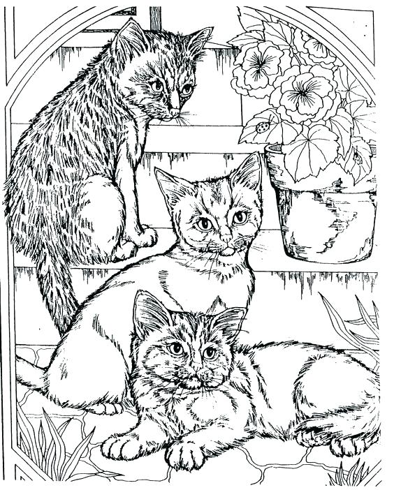 Animal Coloring Pages For Teens at Free printable