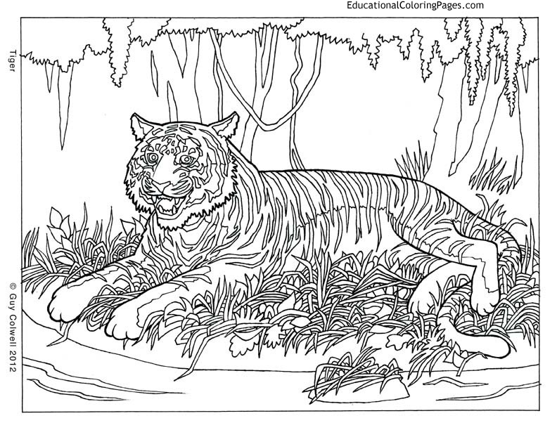 Cartoon Coloring Pages For Teens Animals with simple drawing