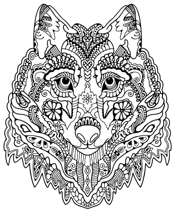 Animal Coloring Pages For Teens at Free printable