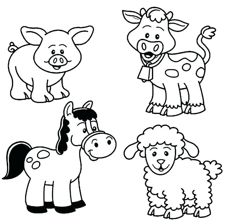 736x735 Australian Animals Coloring Pages Wildlife Farm