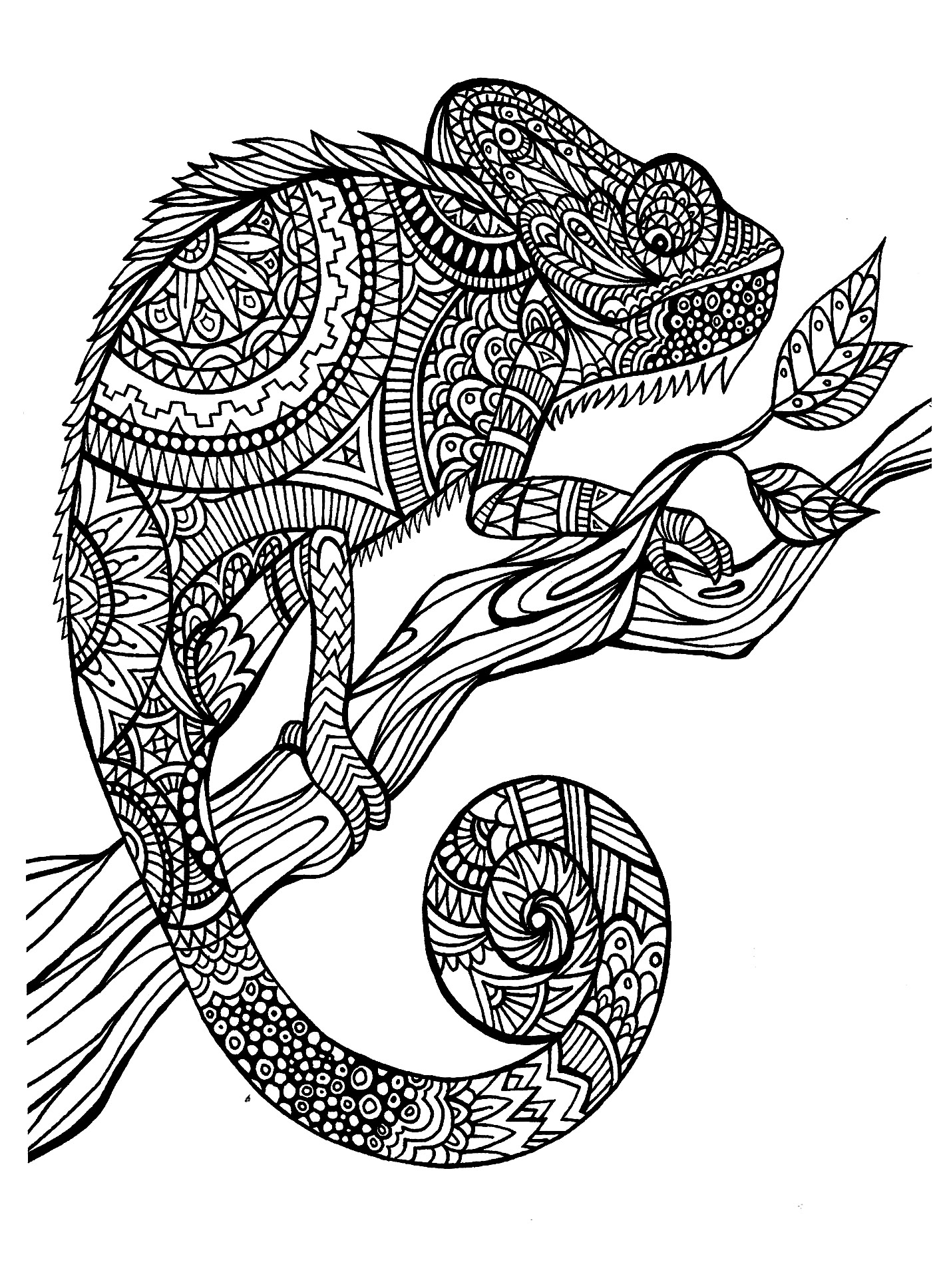 Animal Design Coloring Pages at GetColorings.com | Free printable