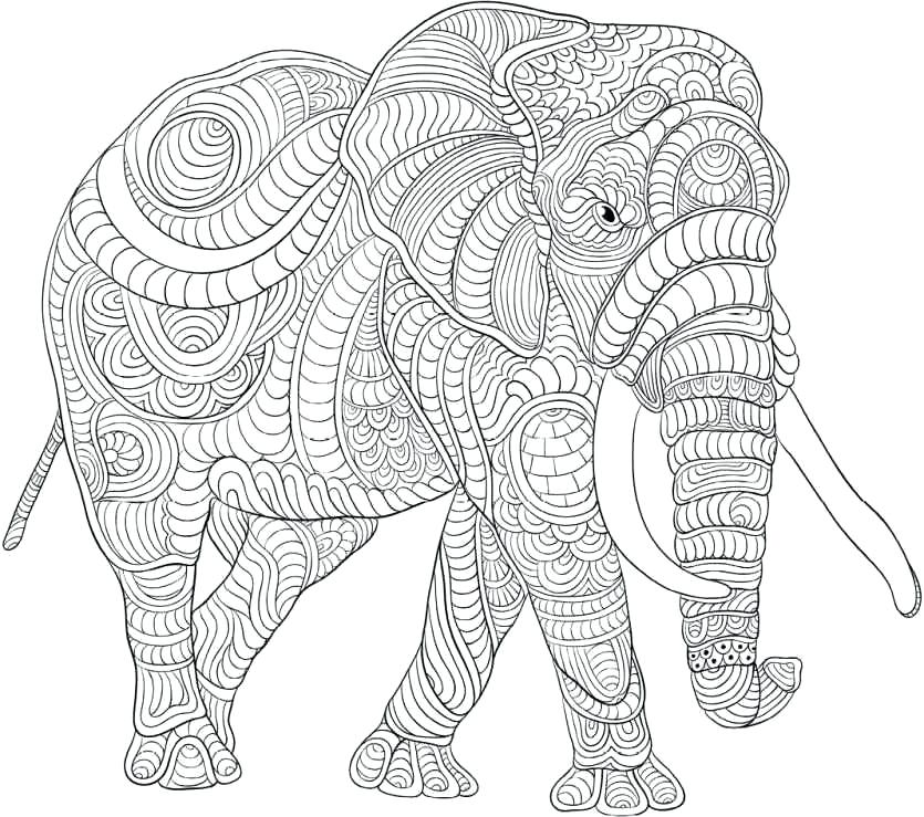 Animal Design Coloring Pages at Free printable