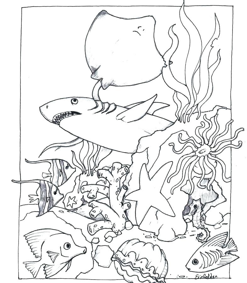 44+ nice collection Free Habitat Coloring Pages / Sea World Coloring