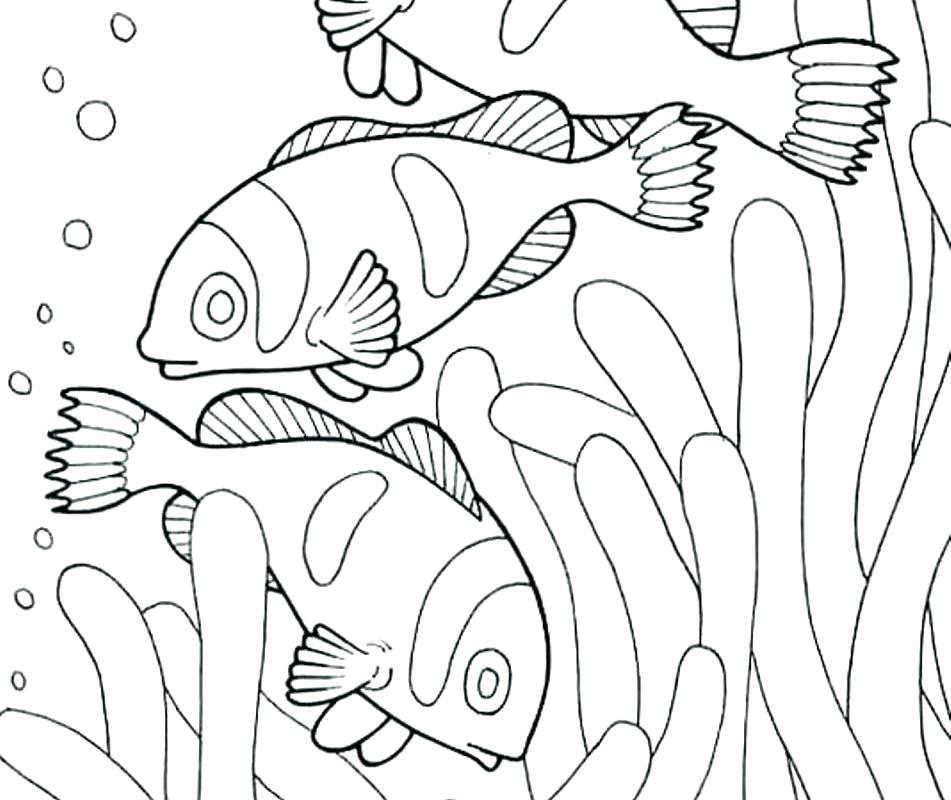 Ocean Habitat Page Kindergarten Coloring Pages