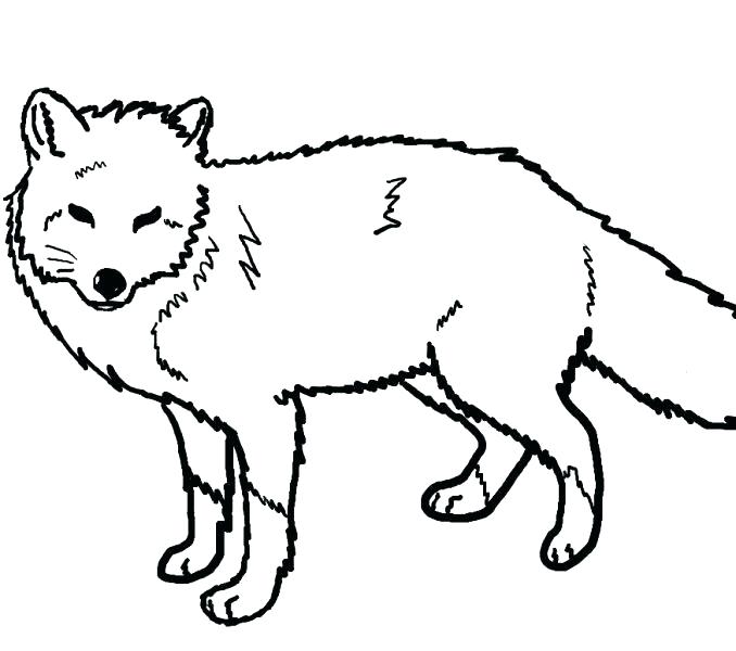 Animal Jam Fox Coloring Pages at GetColorings.com | Free printable