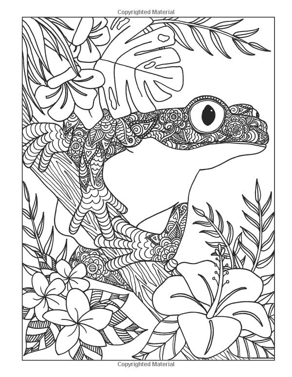 Printable Animal Kingdom Coloring Pages / Millie Marotta's Animal
