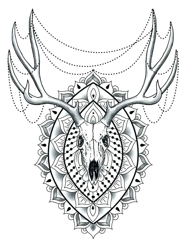 Animal Mandala Coloring Pages For Adults at GetColorings.com | Free