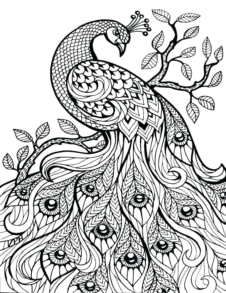 Animal Mandala Coloring Pages Free Printable at GetColorings.com | Free
