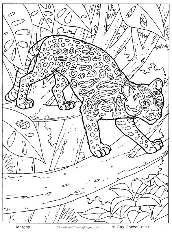 Animal Pattern Colouring Pages At GetColorings Free Printable Colorings Pages To Print And