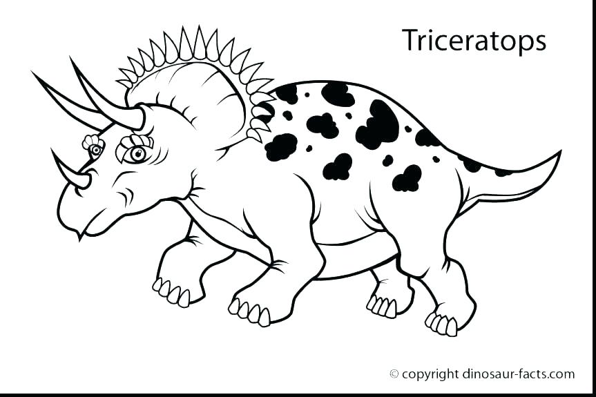 Animal Skeleton Coloring Pages at Free printable