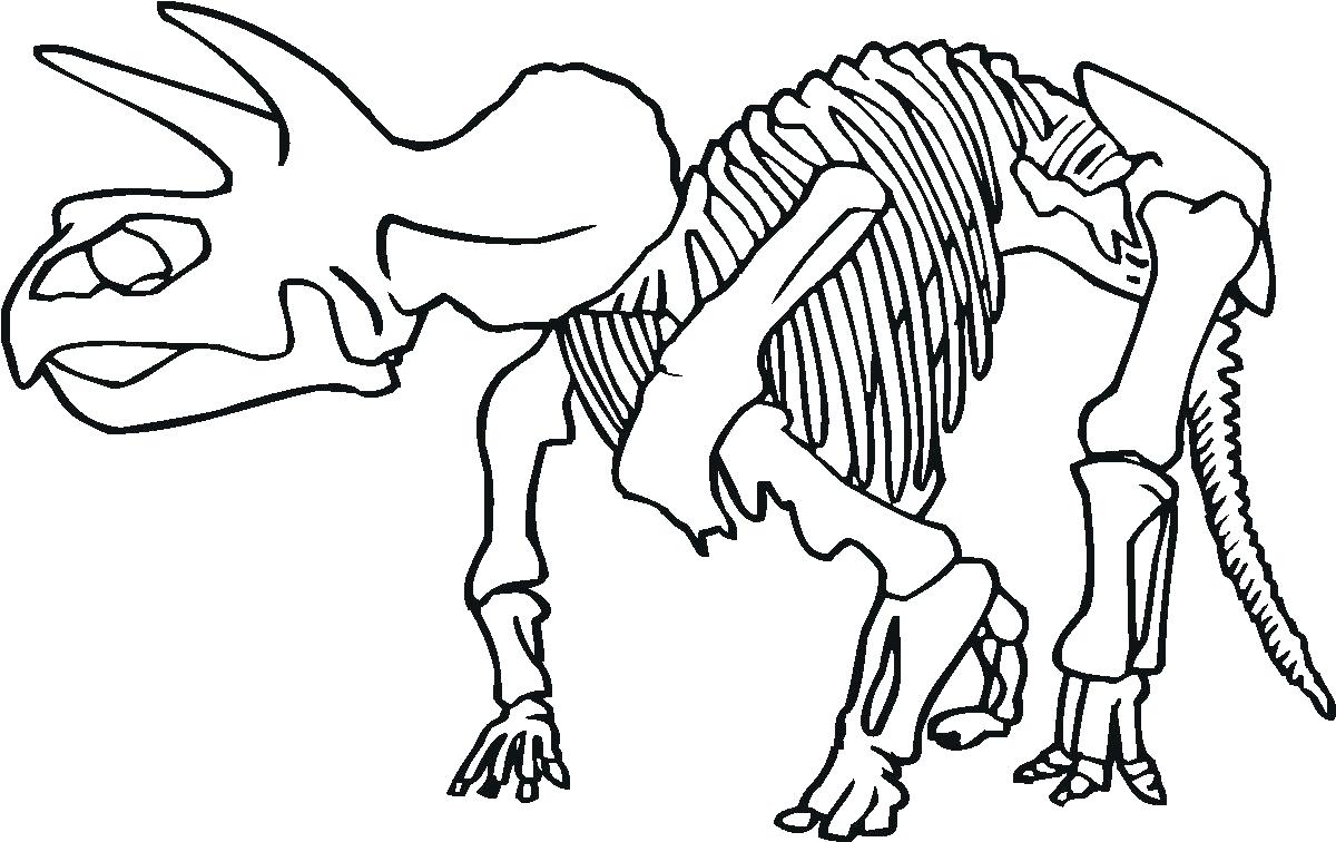 Animal Skeleton Coloring Pages at GetColorings.com | Free printable