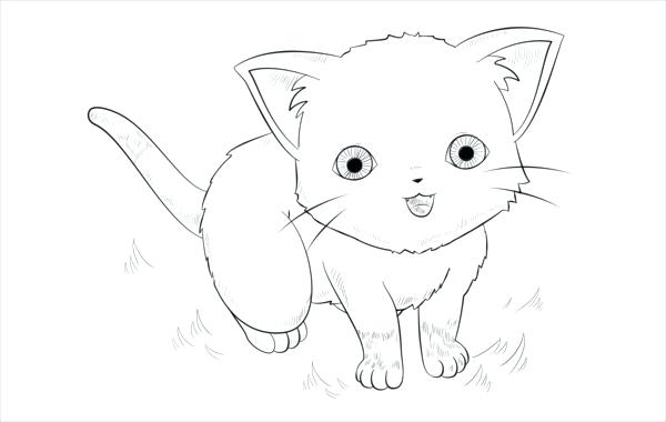 Anime Cat Coloring Pages at GetColorings.com | Free printable colorings