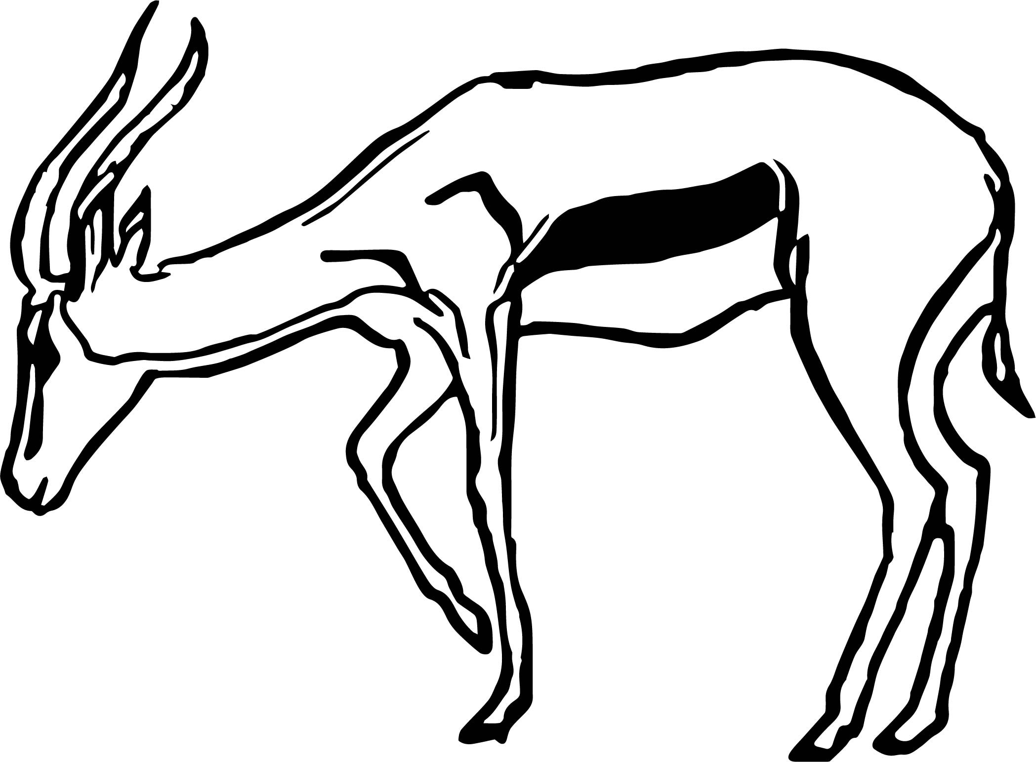 Printable Impala Coloring Page