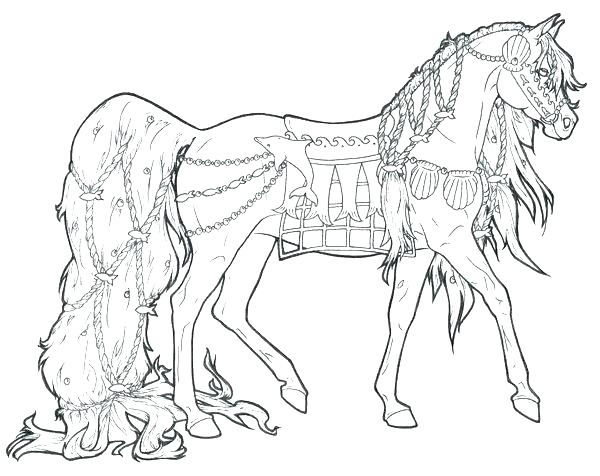 Appaloosa Horse Coloring Pages At GetColorings Free Printable 