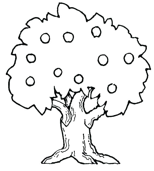 600x666 Coloring Pages Tree Fall
