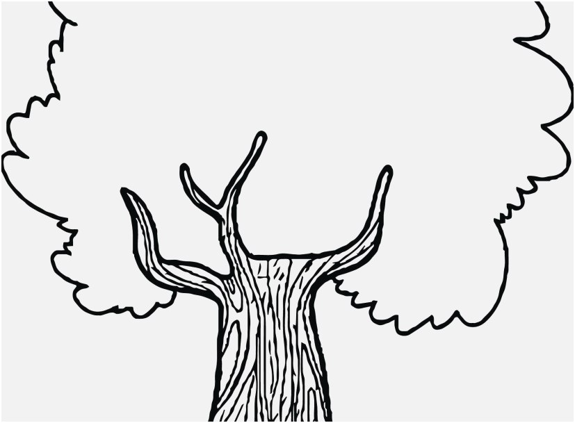 Apple Tree Coloring Page At Getcolorings.com 