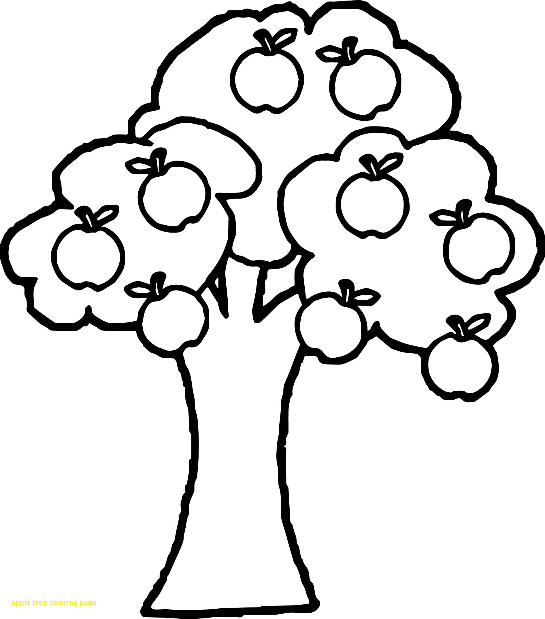 apple-tree-coloring-page-at-getcolorings-free-printable-colorings