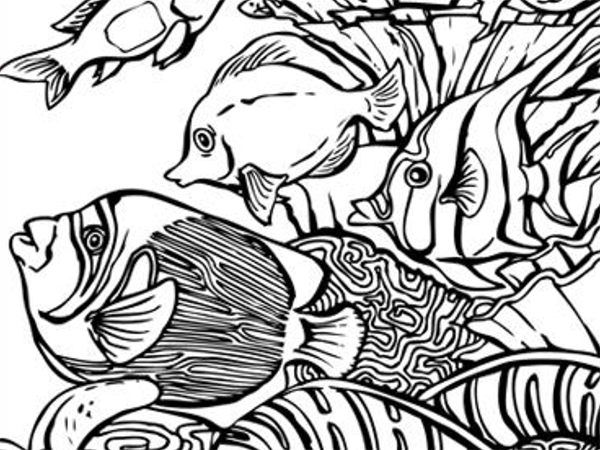 Aquarium Coloring Pages at GetColorings.com | Free printable colorings